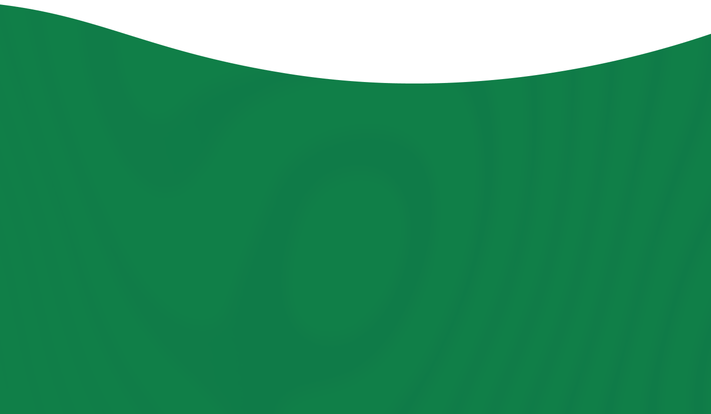 section background