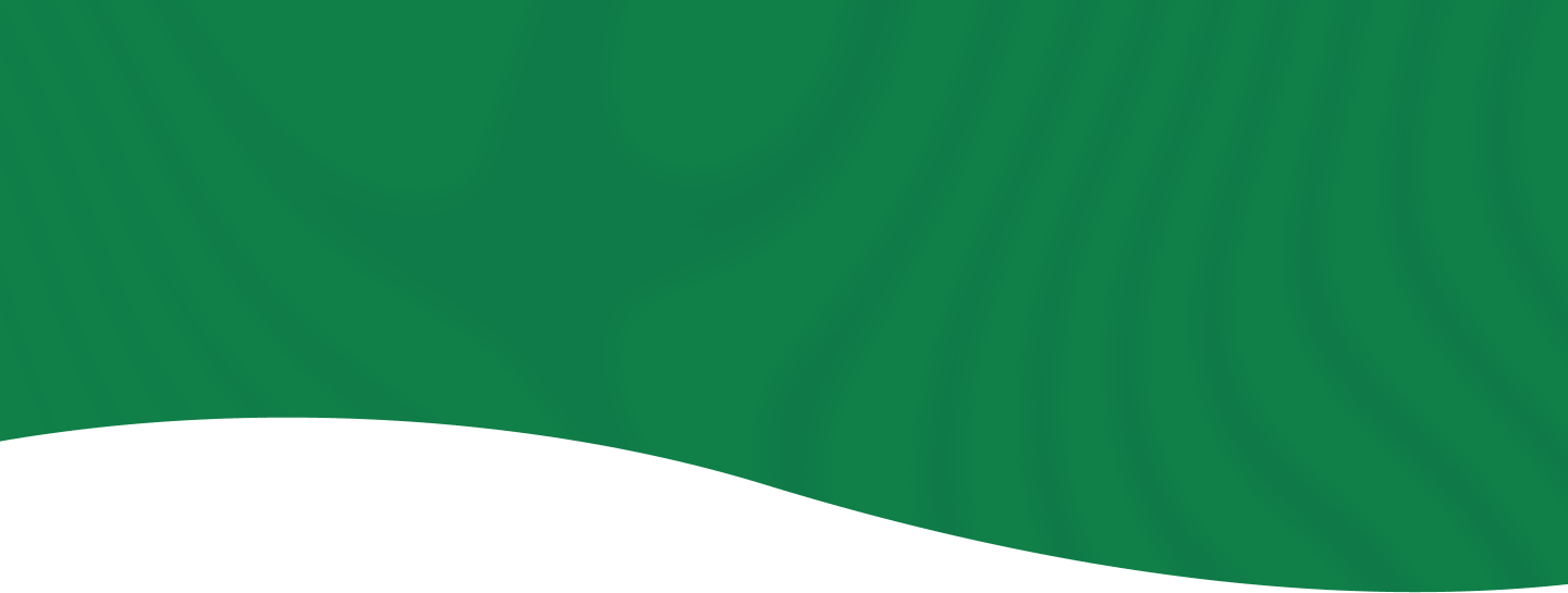 section background